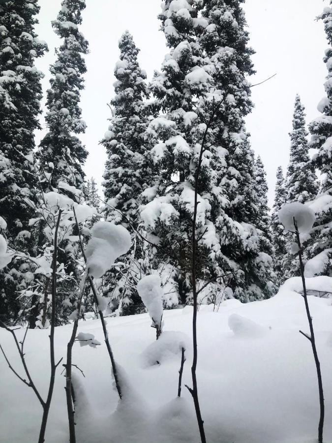Aurora Denali Lodge ฮีลี ภายนอก รูปภาพ